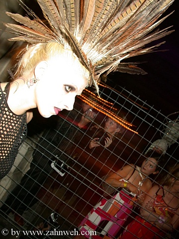 Bild 118