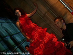 Bild 408