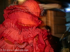 Bild 417