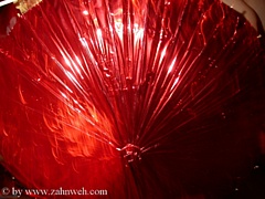 Bild 176